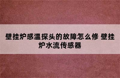 壁挂炉感温探头的故障怎么修 壁挂炉水流传感器